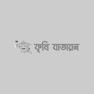 জারবেরার পাতা সুড়ঙ্গকারী পোকা